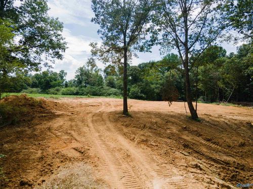 1717 County Road 1579, Baileyton, AL, 35019 | Card Image