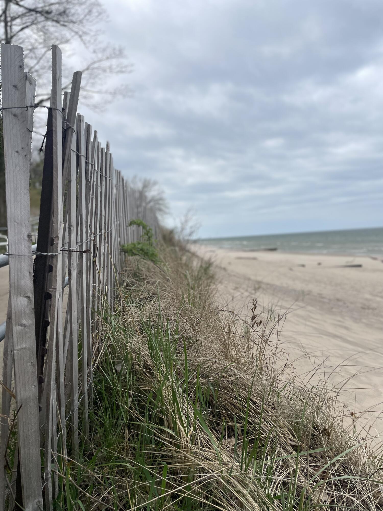 Land in Benton Harbor 2