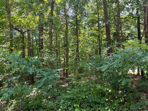 106 Murillo Way, Hot Springs Village, AR, 71909-5520 | Card Image