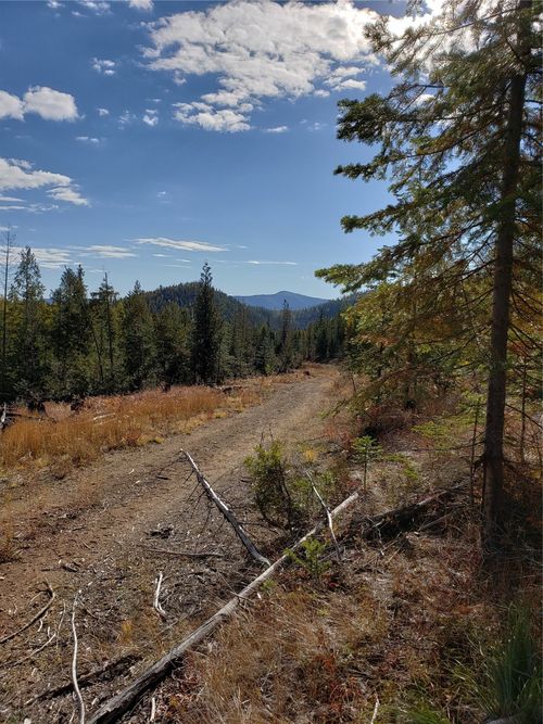 114 Packer Creek Rd, Haugan, MT, 59842 | Card Image