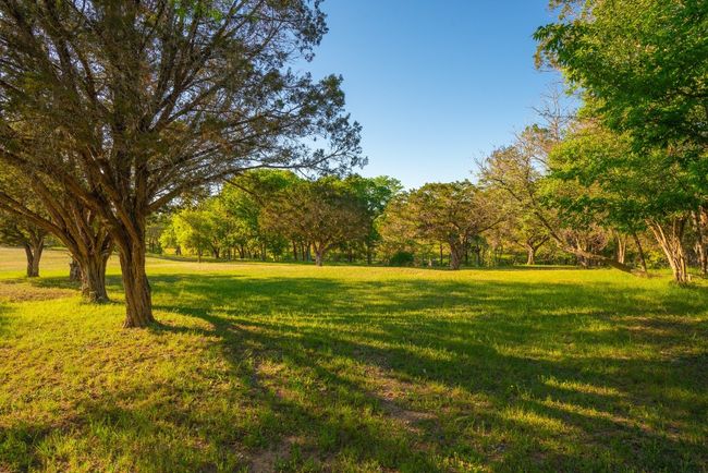 View of yard | Image 35