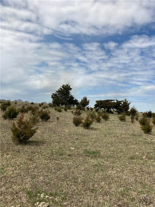 View of local wilderness | Image 24