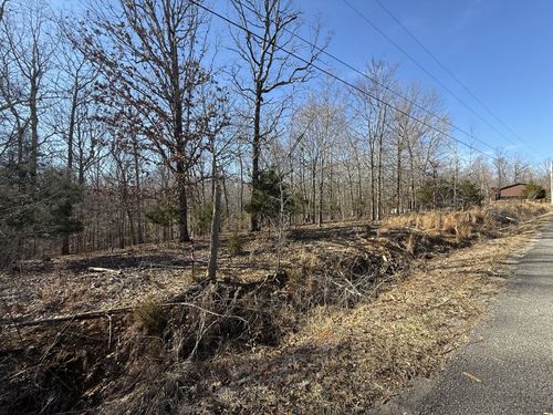 30 Backwoods Estates, Indian Mound, TN, 37079 | Card Image