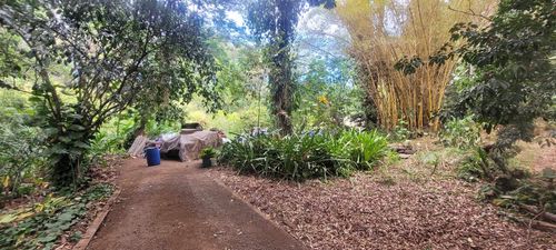 1448 W Kuiaha Rd, Haiku, HI, 96708-5524 | Card Image