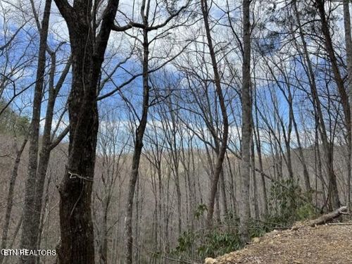 0 John Sevier Dr, Sevierville, TN, 37876 | Card Image