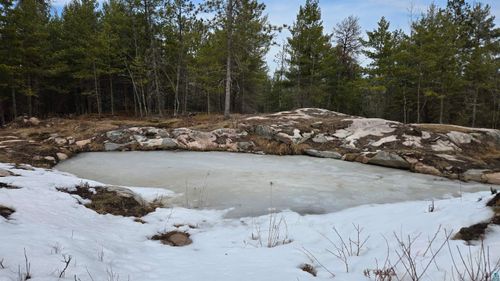 7316 Crane Lake Rd, Crane Lake, MN, 55725-8001 | Card Image