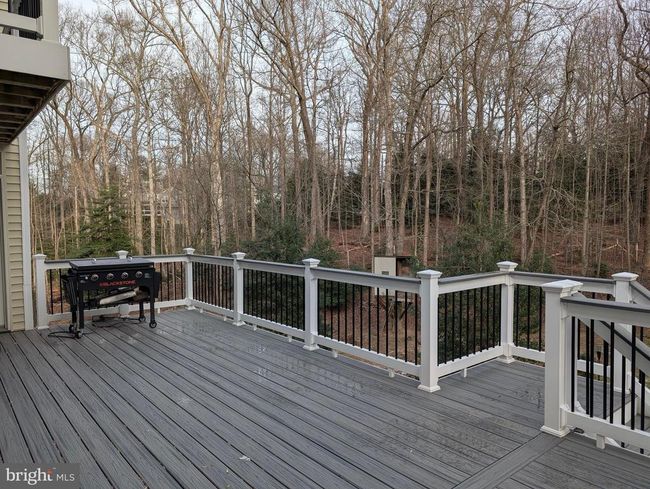 11901 Paradise Ln, House other with 4 bedrooms, 5 bathrooms and null parking in Oak Hill VA | Image 61