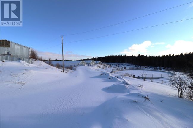 43 - 47 Birch Ave, Home with 2 bedrooms, 2 bathrooms and null parking in Cormack NL | Image 7