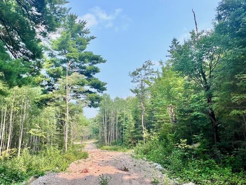 Parcel B Vermilion Lake Rd, Beatty Twp, MN, 55723 | Card Image