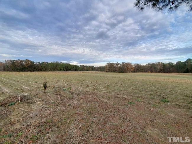 0 Edgemont Rd, Home with 0 bedrooms, 0 bathrooms and null parking in Wendell NC | Image 7