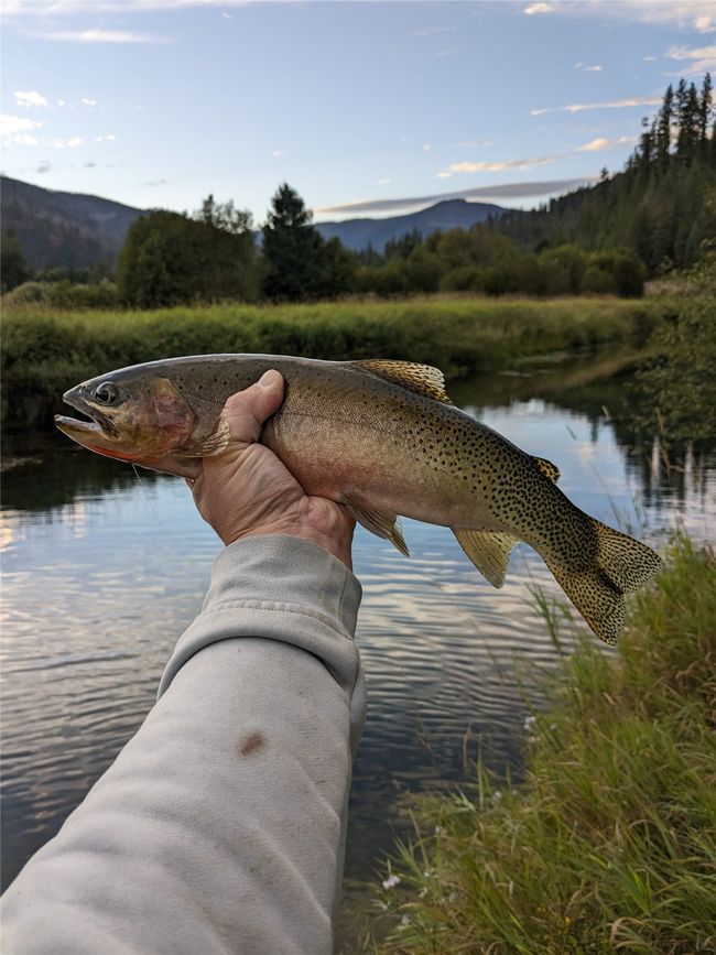 fishing | Image 43