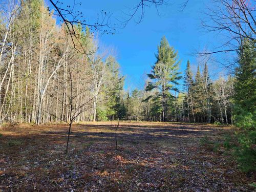 00 Adams Rd Ne, Kalkaska, MI, 49646 | Card Image