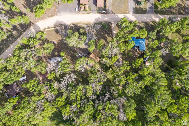 Bird's eye view | Image 63