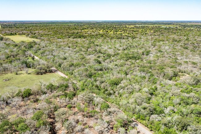 0 County Road 321, Home with 0 bedrooms, 0 bathrooms and null parking in Sweeny TX | Image 19