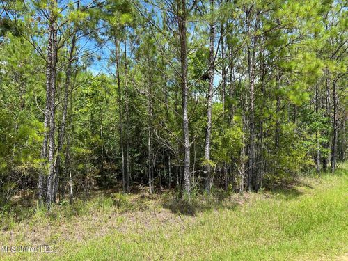 Lot 38 Sampras Boulevard, Vancleave, MS, 39565 | Card Image