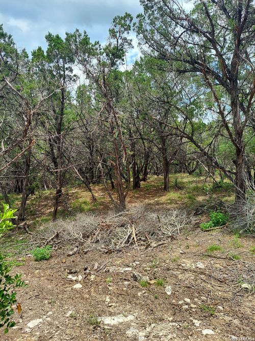LOT 10 Canyon, Lakehills, TX, 78063 | Card Image