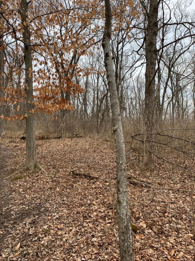 6049 Big Run Rd, Home with 0 bedrooms, 0 bathrooms and null parking in Georgetown OH | Image 33