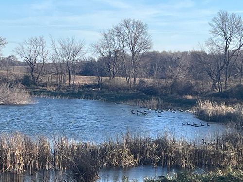 18345 102nd St, Young America, MN, 55397-9306 | Card Image