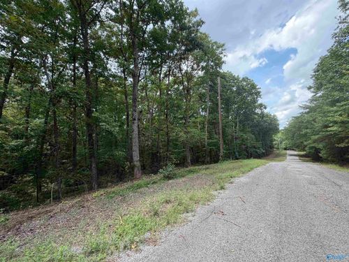 Lot 33 & 34 Woodfern Drive, Scottsboro, AL, 35678 | Card Image