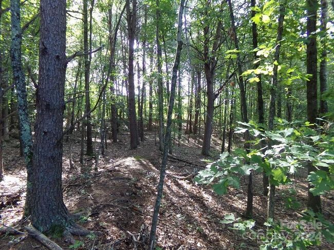 Terrace in Middle Sunny Woods | Image 6