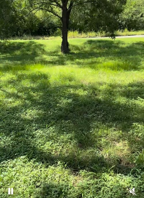 10002 Fm 969 Rd, Austin, TX, 78724-6313 | Card Image