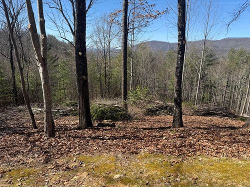 Lot 56 Fires Creek Rd, Hayesville, NC, 28904-7526 | Card Image