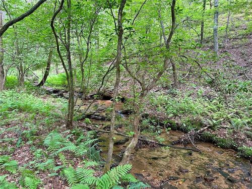 10 Freedom View Dr., Dahlonega, GA, 30533 | Card Image