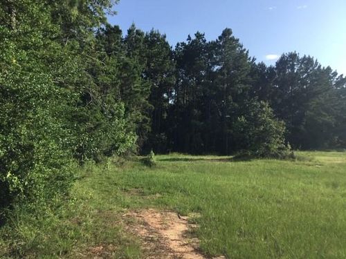 000 Navaho Trl, Onalaska, TX, 77360 | Card Image