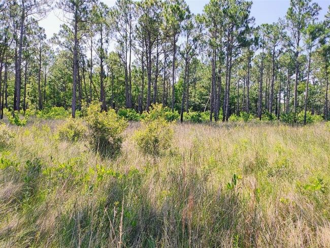 View of landscape | Image 14