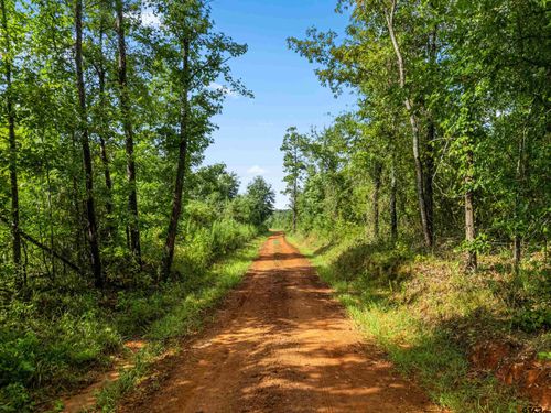TBD County Road 2208 D, Easton, TX, 75641 | Card Image
