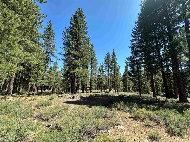 11651 Bottcher Loop, Home with 0 bedrooms, 0 bathrooms and null parking in Truckee CA | Image 4
