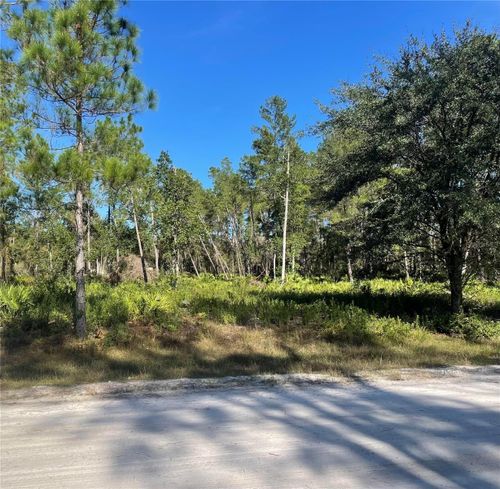 224 Plumosa Dr, GEORGETOWN, FL, 32139-2123 | Card Image