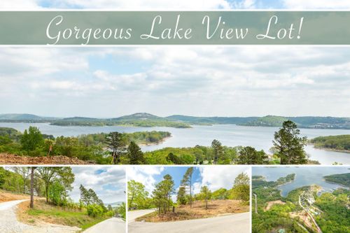 Lot 4 Grizzly Ridge Lane, Blue Eye, MO, 65611 | Card Image