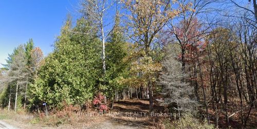 93 Mccleary Rd, Marmora, ON, K0K2M0 | Card Image