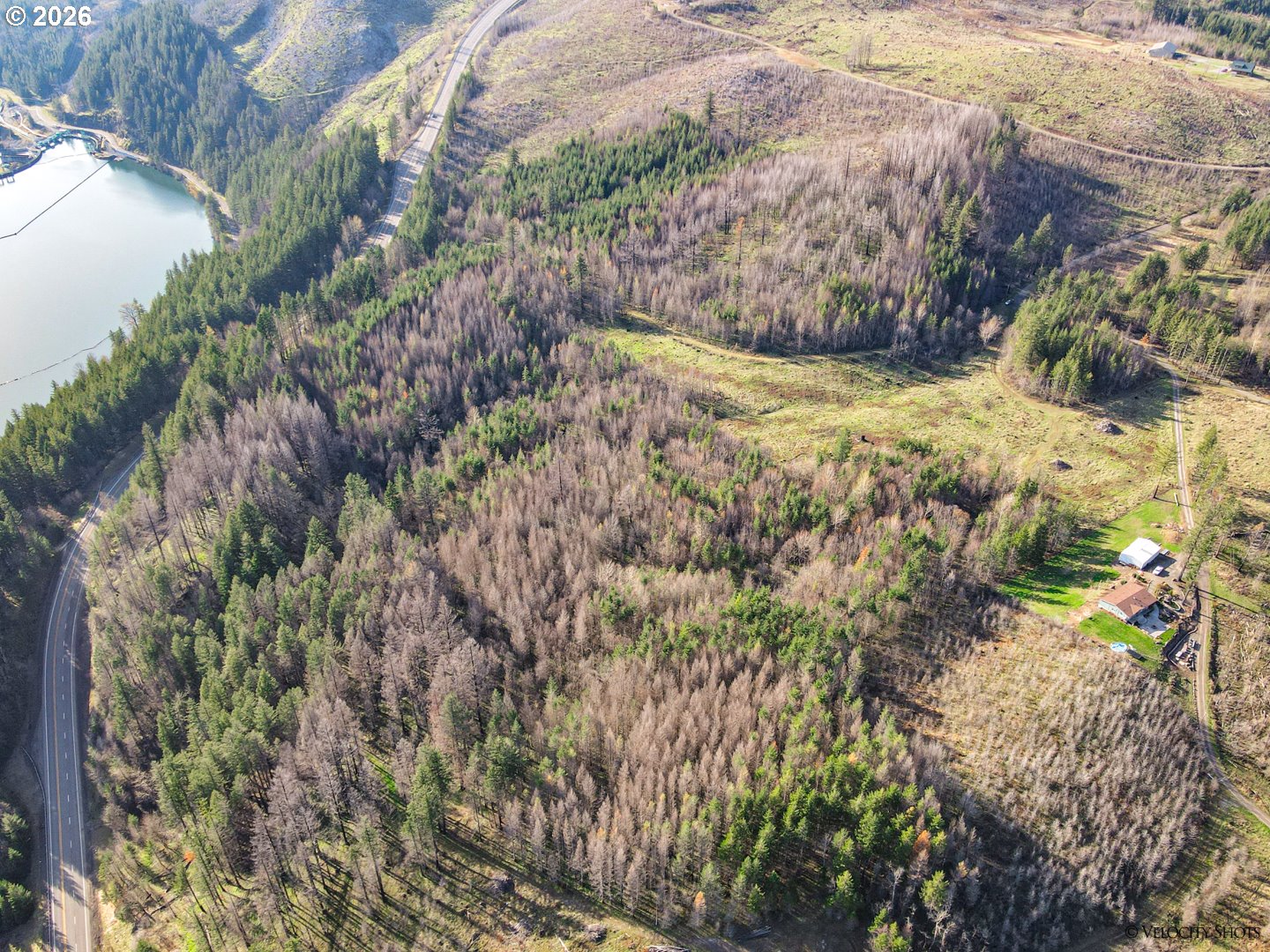 Land in Estacada 4