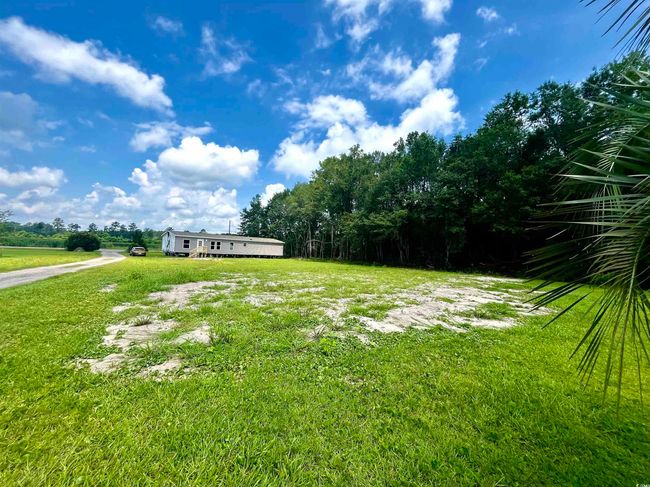 View of grassy yard | Image 7