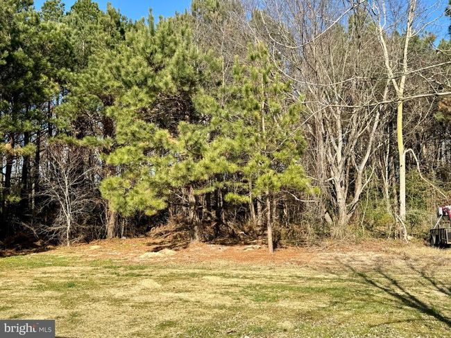 21775 Pine Haven Rd, House other with 3 bedrooms, 2 bathrooms and null parking in LINCOLN DE | Image 5