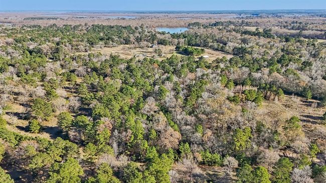 0 Bay Tree St, Home with 0 bedrooms, 0 bathrooms and null parking in Trinity TX | Image 4