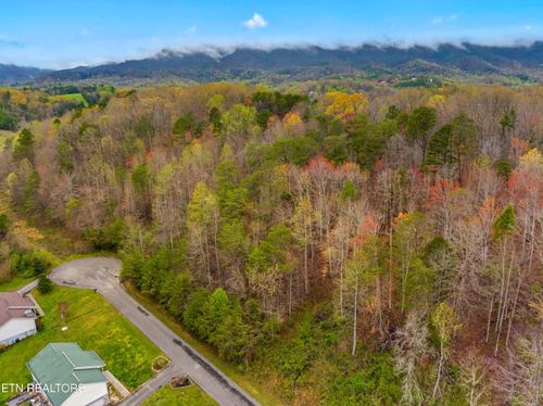 0 English Fields Dr, Newport, TN, 37821 | Card Image