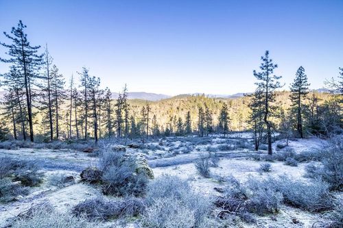 403-0 Waldo Rd, O Brien, OR, 97534 | Card Image