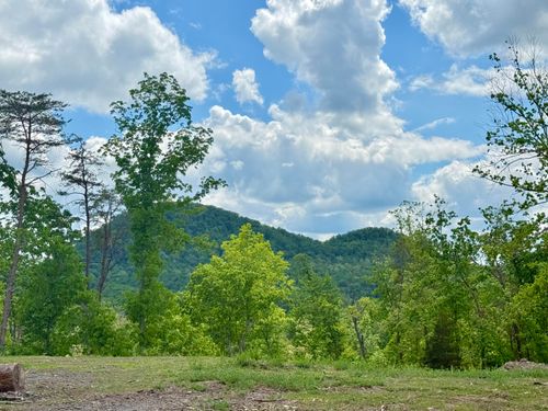 Lot 5 Woodland Est, Irvine, KY, 40336 | Card Image