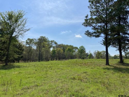 16730 Ridgeline Loop, Winona, TX, 75792-6221 | Card Image
