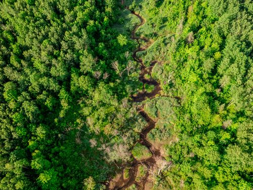 lot-4-30659 Townline Rd, Ontonagon, MI, 49953 | Card Image