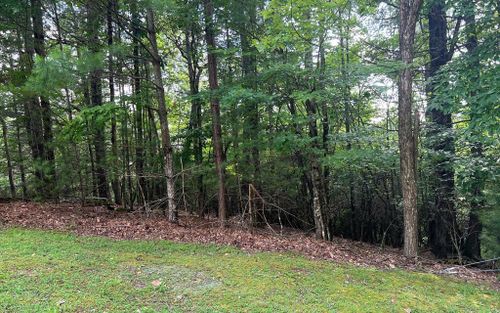 Lot 40 Double Knobs Dr, Hayesville, NC, 28904-2600 | Card Image