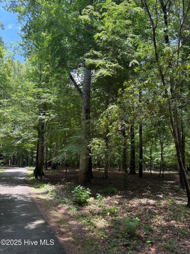 108 Gambit Ct, House other with 4 bedrooms, 3 bathrooms and 2 parking in Washington NC | Image 6