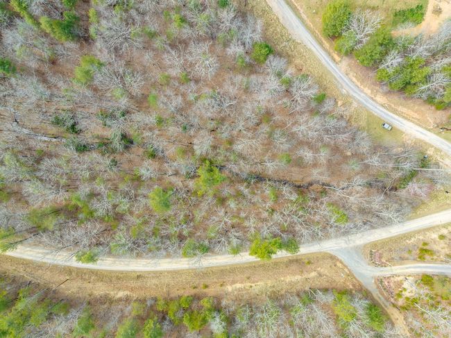 Lot12/14 Lake Forest Lane, Home with 0 bedrooms, 0 bathrooms and null parking in Bland VA | Image 23