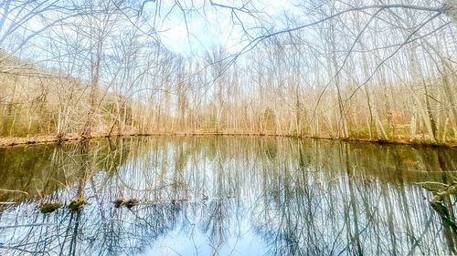 0 Johnson Mill Branch Rd, Lutts, TN, 38471 | Card Image