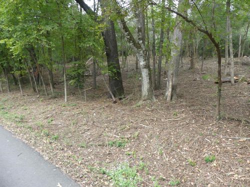 000 Cozy Acres Rd, Mountain Pine, AR, 71956 | Card Image