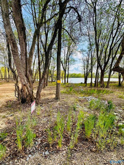 8-8 County Road 115, Cedar Bluff, AL, 35959-2864 | Card Image