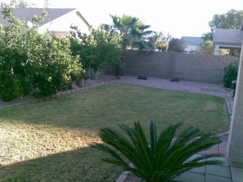 3560 E Feather Ave, Gilbert, AZ, 85234-2235 | Card Image